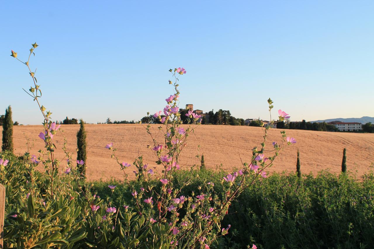 Il Poggio Della Pieve Apartments Santa Luce Buitenkant foto